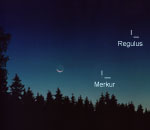 Msc a Merkur, pobl Regulus