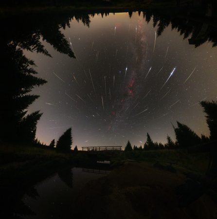 Perseidy z Persea. Kompozitní snímek z Jizerky se všemi zachycenými stopami Perseid. Autor: Jakub Kuřák (18 let)